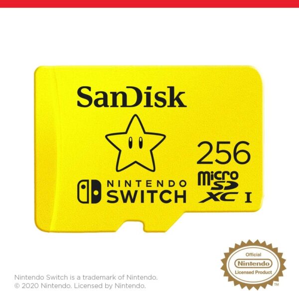 SanDisk 256GB microSDXC-Card