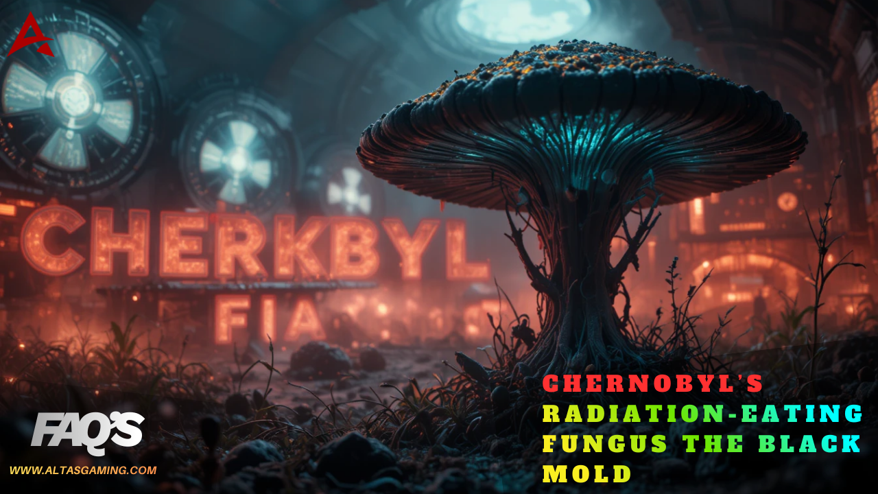Chernobyl’s